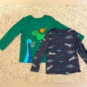 5T Dinosaur Shirt Bundle